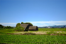 宮崎市の戦争遺跡イメージ画像