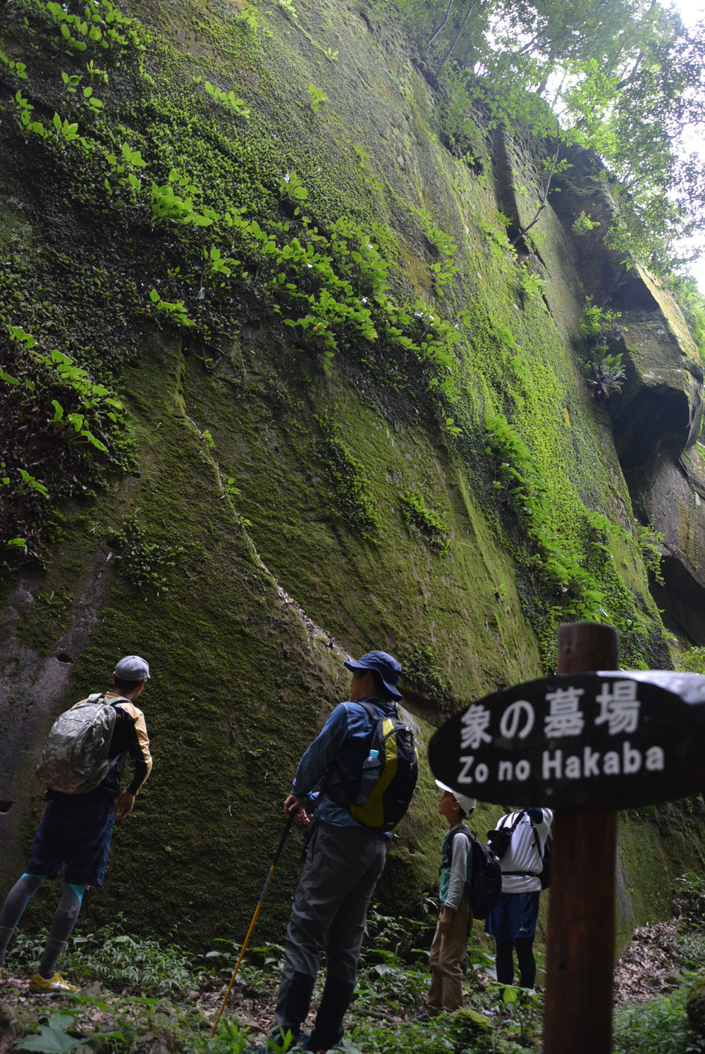 象の墓場、そそり立つ岩