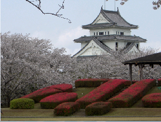 天ケ城と桜とつつじ
