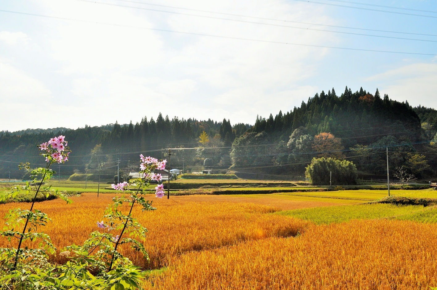 和石（よれし）の秋の景観