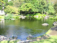 宮崎市中央公園日本庭園池の写真
