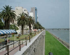 橘公園.jpg