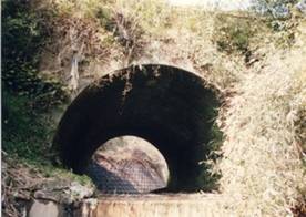 鵜木橋