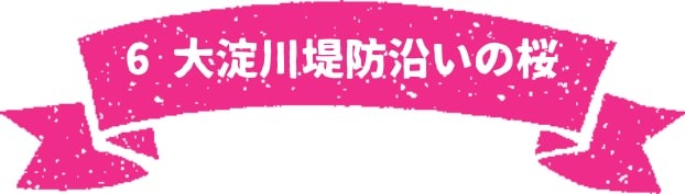 大淀川堤防沿いの桜