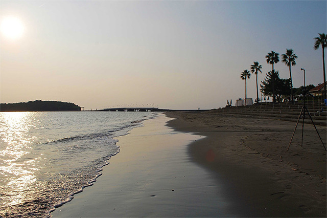 青島海水浴場ページへのリンク画像