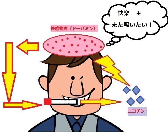 ニコチン依存症の図:タバコを吸う~ニコチンが吸収される~快感物質(ドーパミン)が放出される~また吸いたいという欲求が出る
