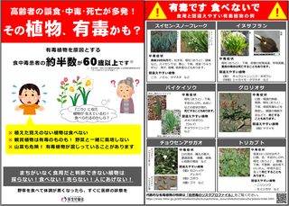 その植物、有毒かも?.png