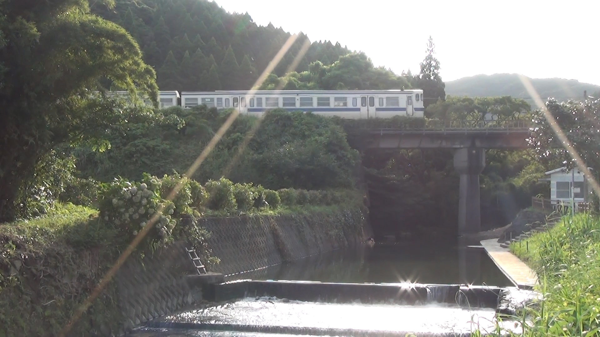 野島川河川プール画像