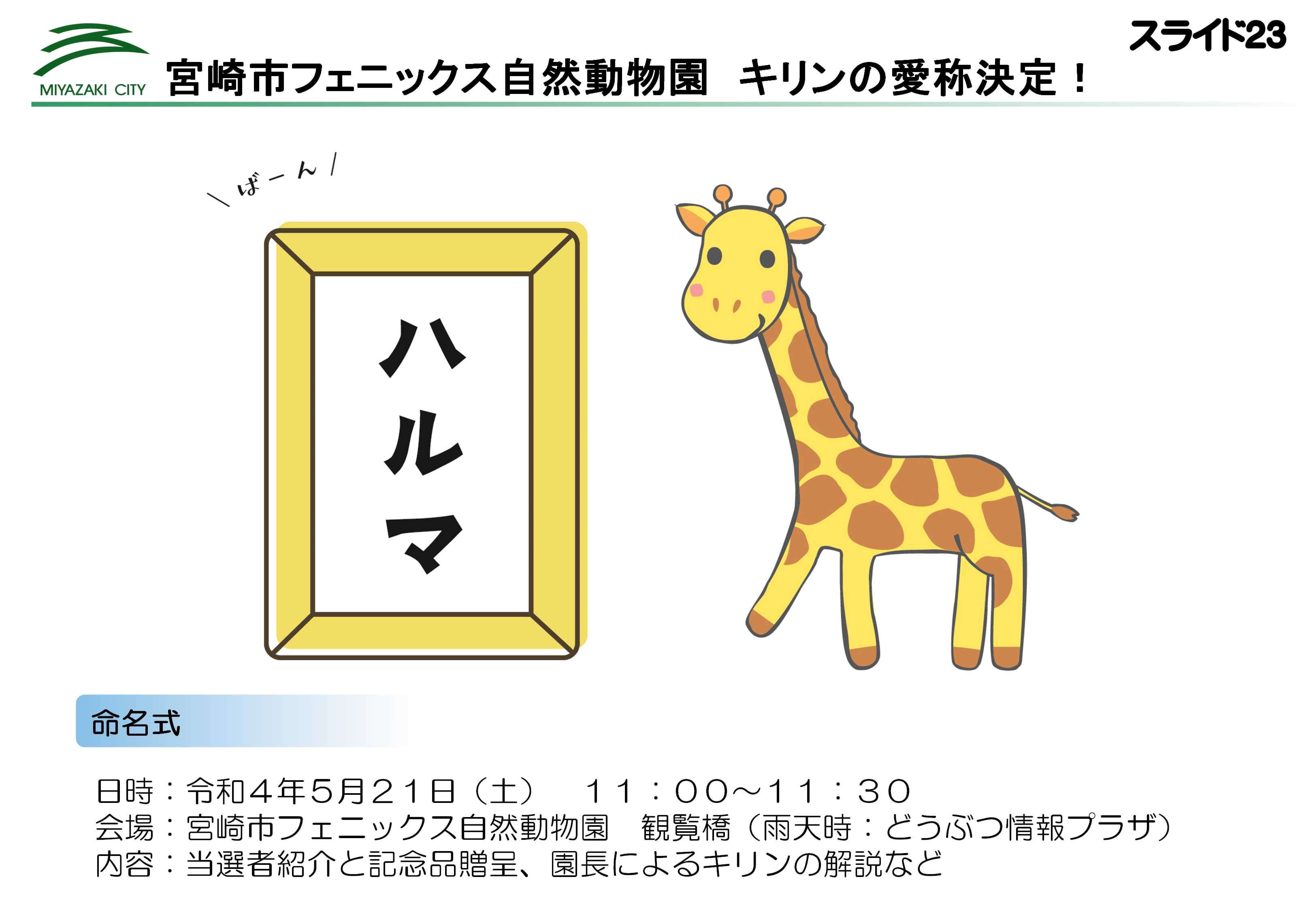 ★2205市長記者会見スライド_24.jpg