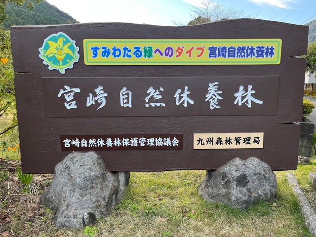 image01.jpeg