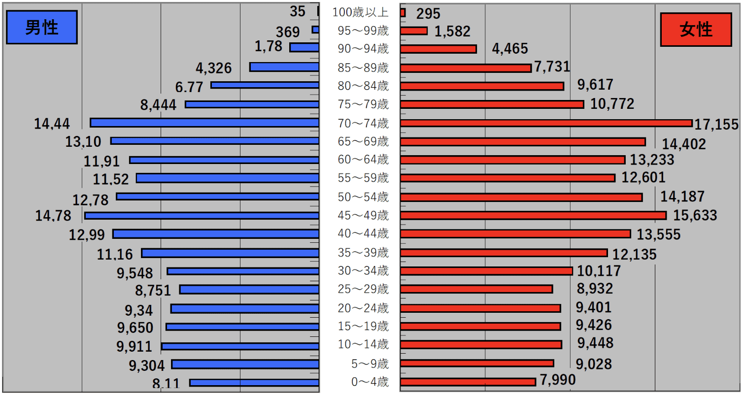 性別年齢別の人口分布図