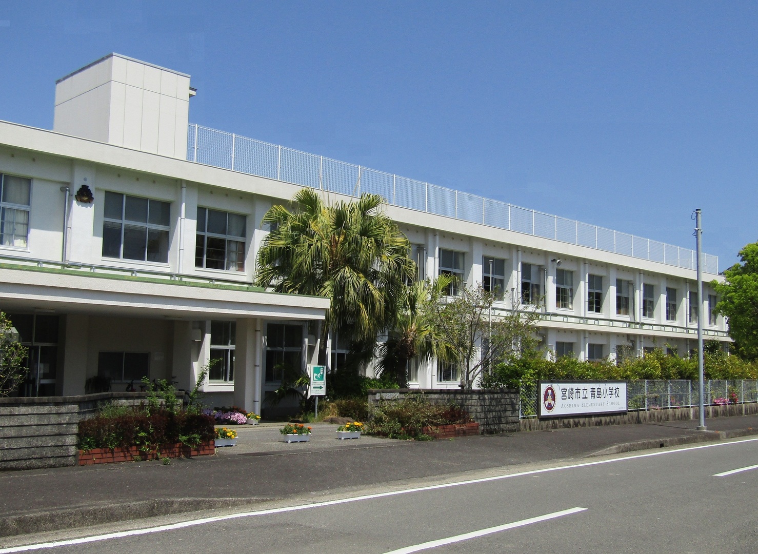 青島小