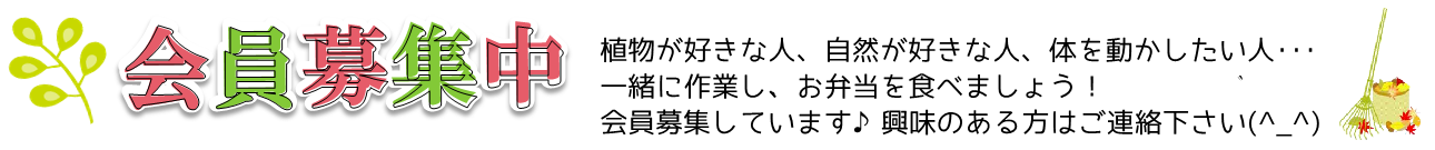 会員募集中です。詳しくはクリックまたはタップを。