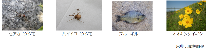 特定外来生物.png