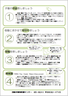もしも子猫を見つけたら2