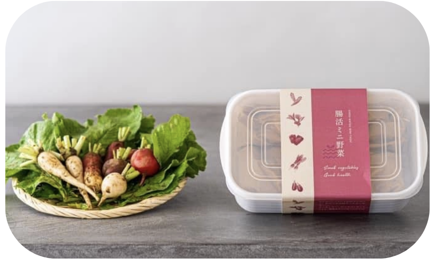 腸活のための糠漬け専用ミニ野菜ぬかづけパック、塩こうじパック、ぬかづけキャンディーの提供.png