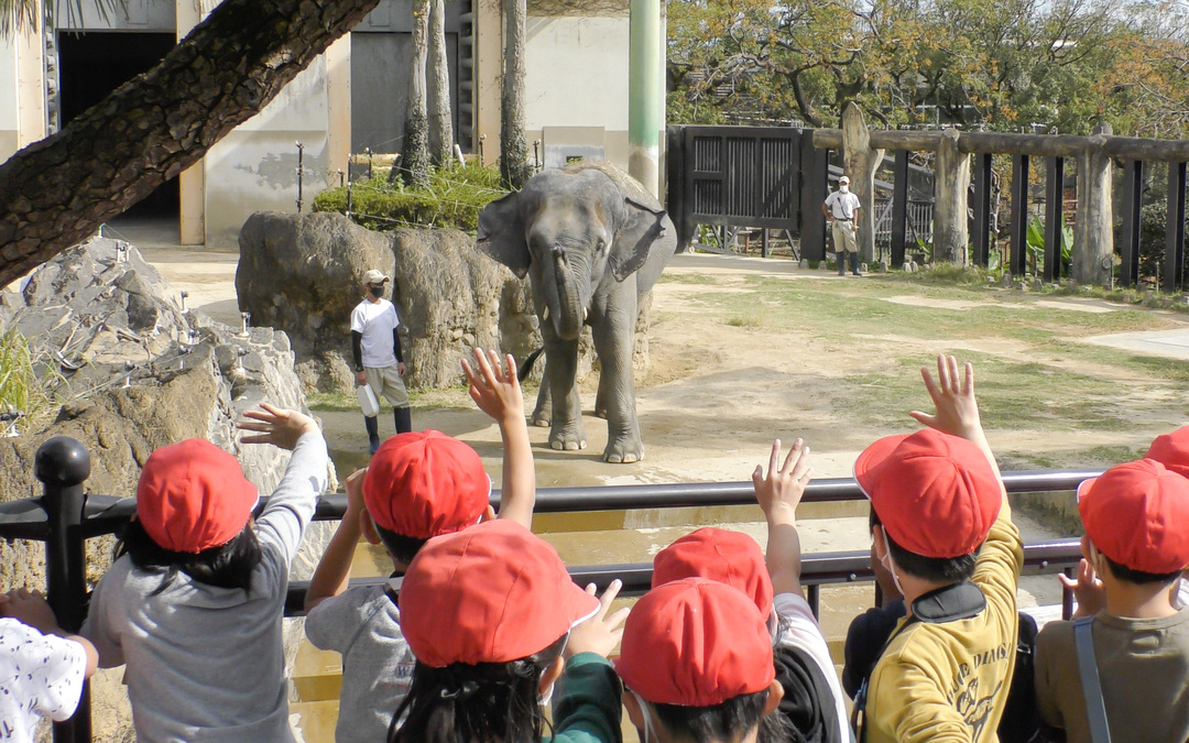 フェニックス動物園で象に手を振る子供たちの写真