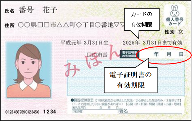 図2.png