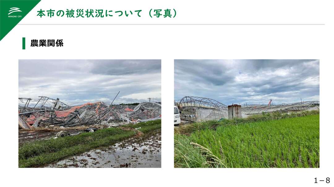 臨時記者会見 (9).jpg