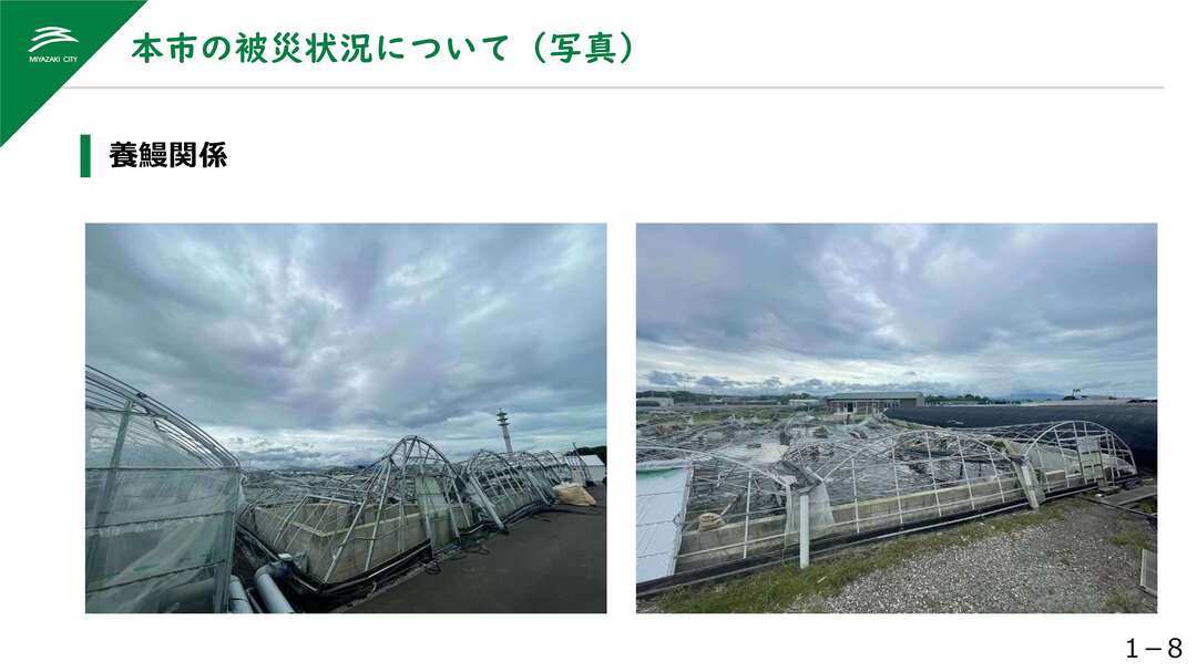 臨時記者会見 (10).jpg