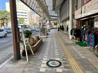マンホールふた写真3(全景).JPG
