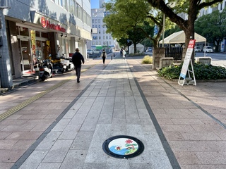 マンホールふた写真7(全景).JPG
