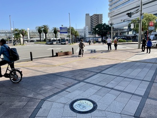 マンホールふた写真9(全景).JPG