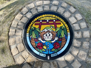 マンホールふた写真11(接写).JPG