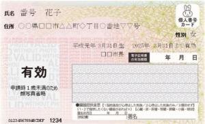 顔写真なしマイナンバーカード.jpg
