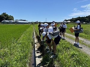 体験授業の様子.jpg