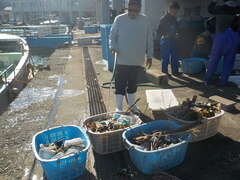 海底清掃の様子.JPG