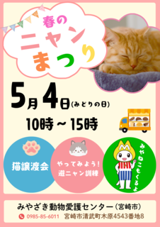 ピンク ブルー グリーン カラフル ポップ 可愛い 子ども おもちゃ イベント チラシのコピーのコピー_20250410_144658_0000.png