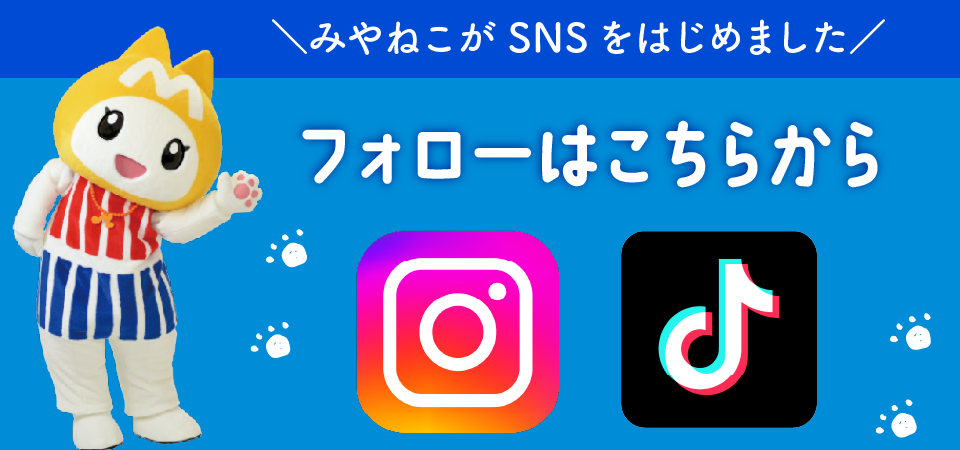 みやねこSNSはじめました。