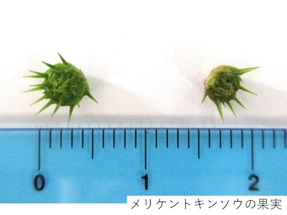 スライド1.jpg