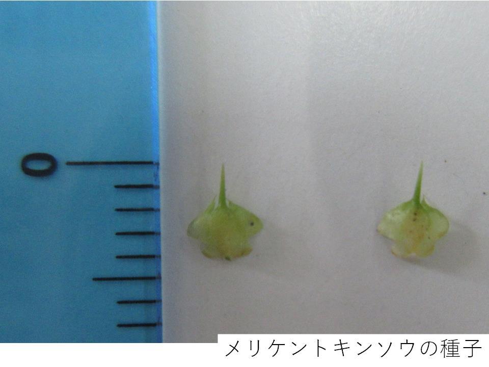 スライド2.jpg