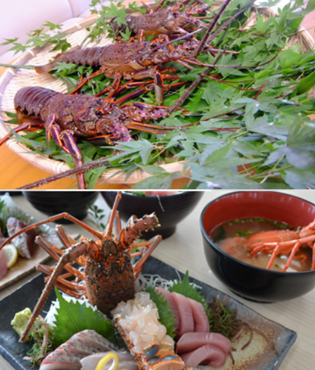 イセエビの写真.png