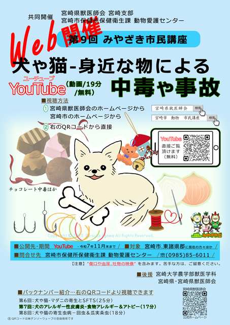 犬や猫の身近な物による中毒や事故のチラシ