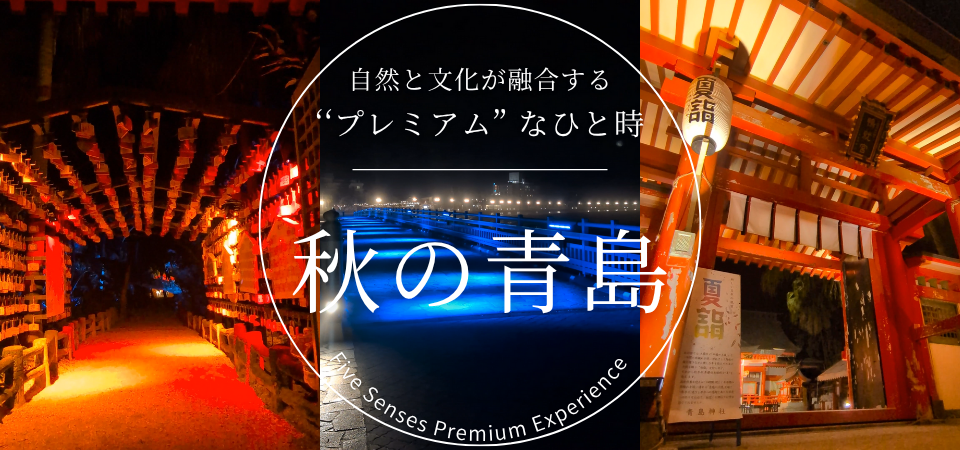青島リサイズ2.png