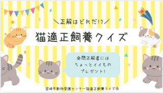 Quiz.png