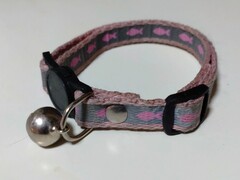 茶白、幼齢、ピンクグレー鈴付き首輪