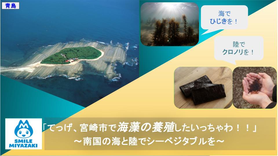 無題のプレゼンテーション (2).jpg