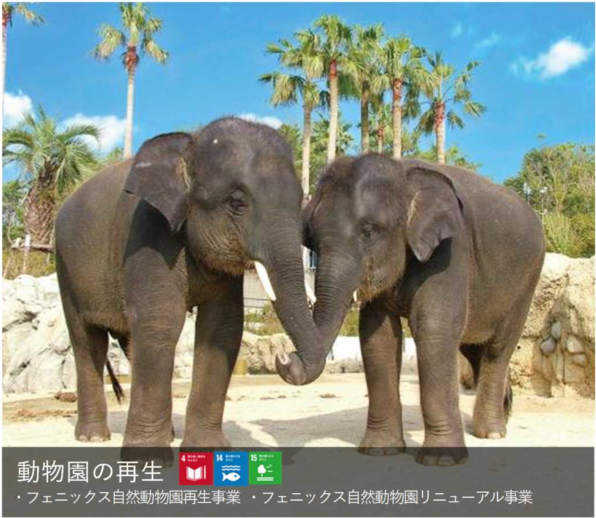 動物園の再生