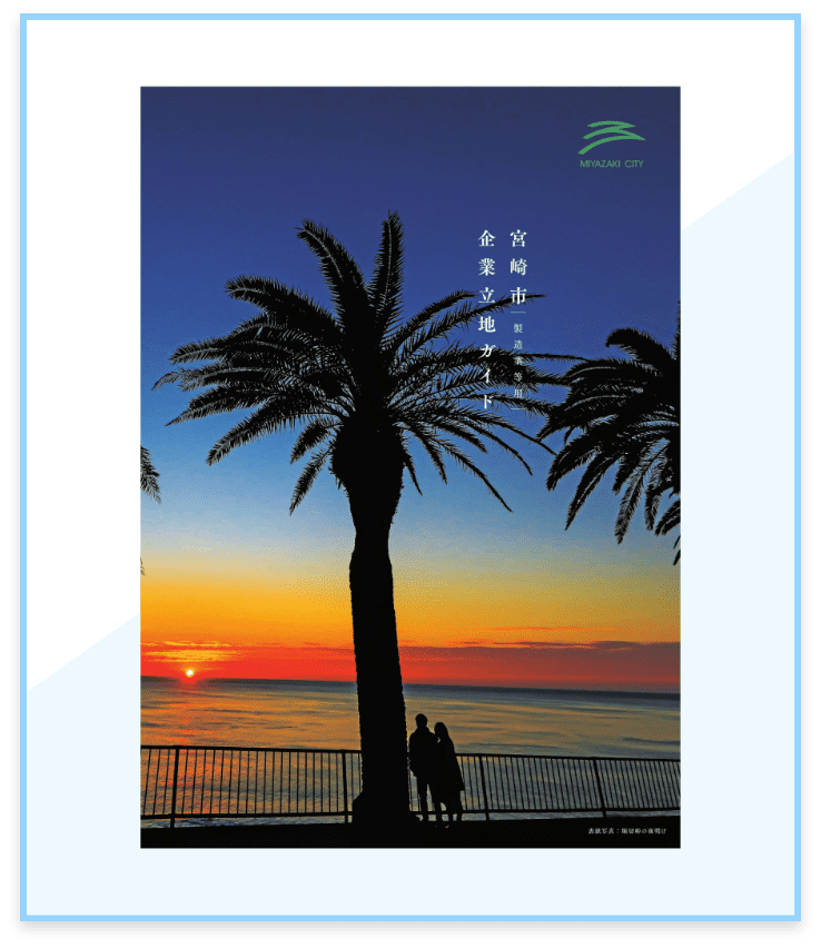 表紙画像：海に沈む夕日を背景にしたフェニックスの木