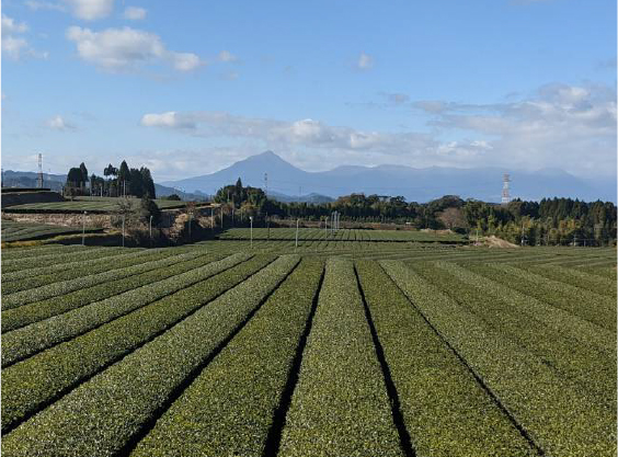 高岡町一里山