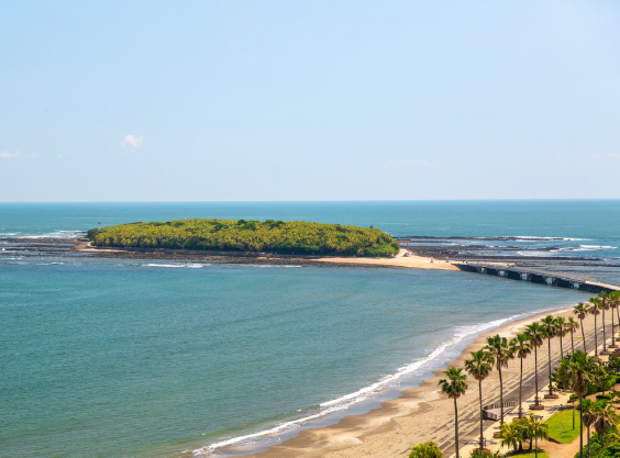 青島の海